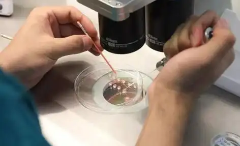 遵义打破偏见的生命礼赞：同性生子背后的爱与坚守